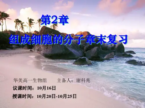 《组成细胞的分子》PPT课件下载高中生物 人教版1