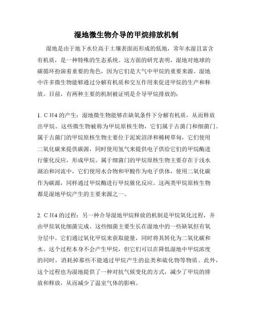湿地微生物介导的甲烷排放机制