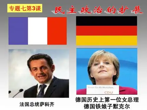 卢国政(民主政治的扩展)
