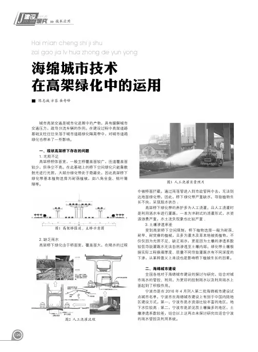 海绵城市技术在高架绿化中的运用