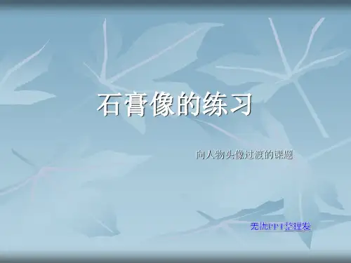 石膏头骨