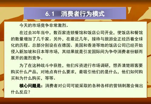 第6章 消费者市场与消费者购买行为 《旅游市场营销》PPT课件