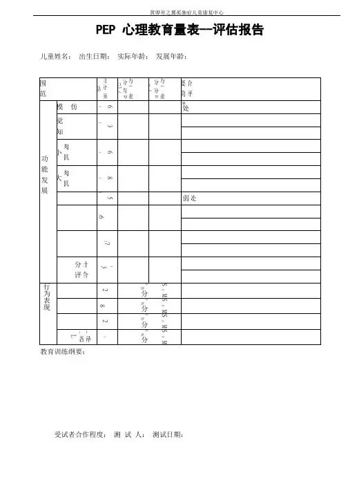 PEP-3心理教育量表--评估报告