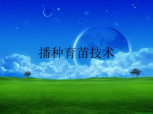 林木种苗学ppt