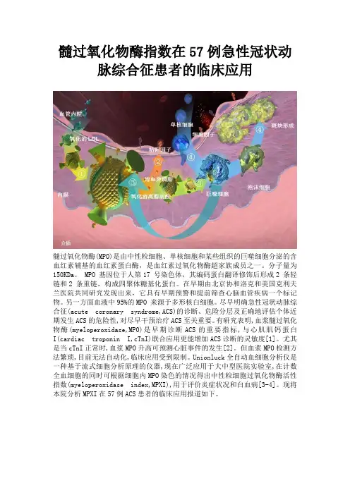 髓过氧化物酶MPO的临床应用