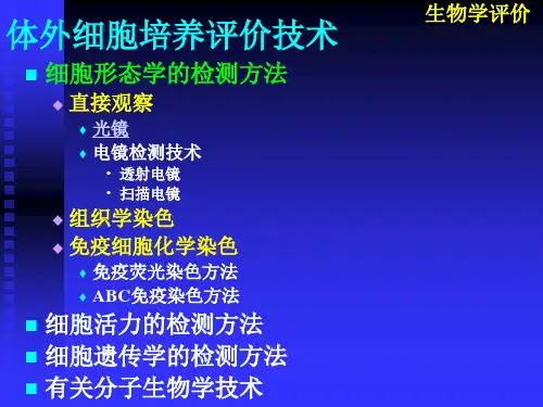 医疗器械工程导论5细胞毒性评价