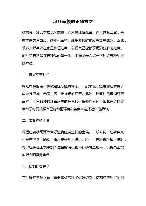 种红薯秧的正确方法