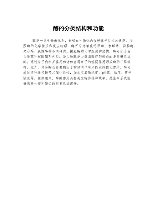 酶的分类结构和功能