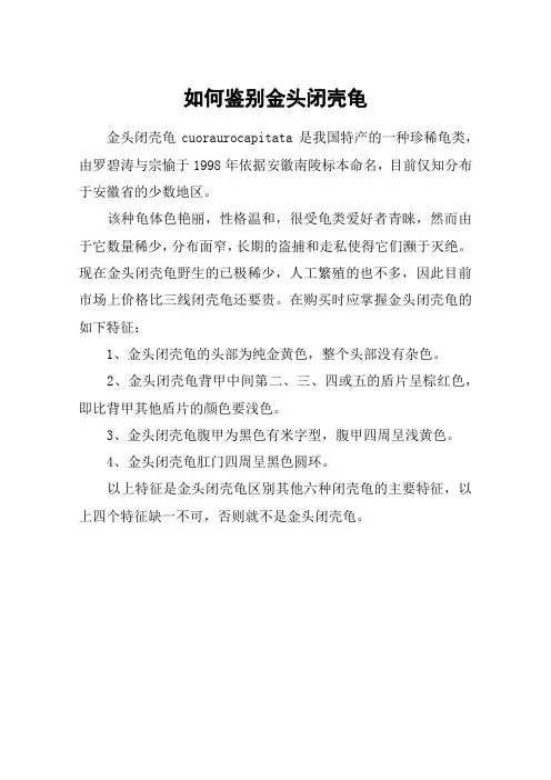 如何鉴别金头闭壳龟