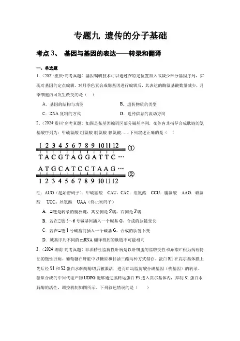 专题九 遗传的分子基础  考点3、基因与基因的表达—转录和翻译 考点4、表观遗传(含解析)
