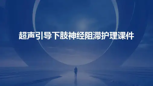 超声引导下肢神经阻滞护理课件