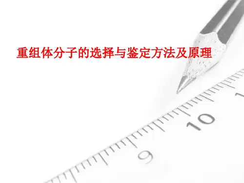 重组体分子的选择与鉴定方法及鉴定