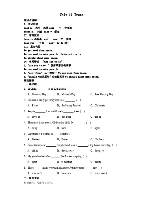 Unit11Trees知识点讲解精选精练(讲义)沪教牛津版(深圳用)英语六年级上册