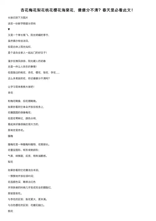 杏花梅花梨花桃花樱花海棠花，傻傻分不清？春天里必看此文！