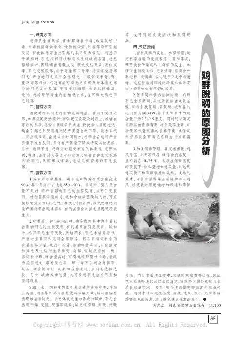 鸡群脱羽的原因分析