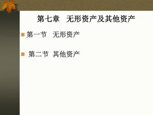 无形资产与其他资产(ppt 22页)