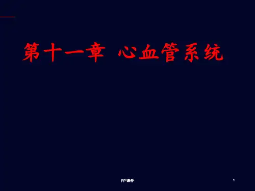 心血管系统  ppt课件