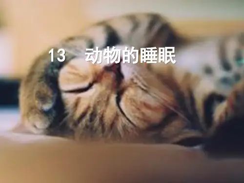 《动物的睡眠》ppt课件