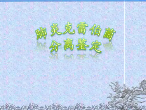 微生物-肺炎克雷伯 PPT课件