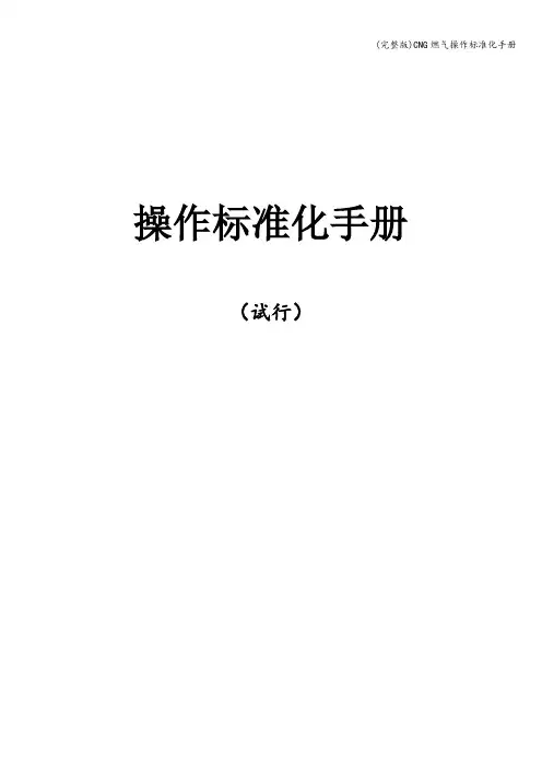 (完整版)CNG燃气操作化手册