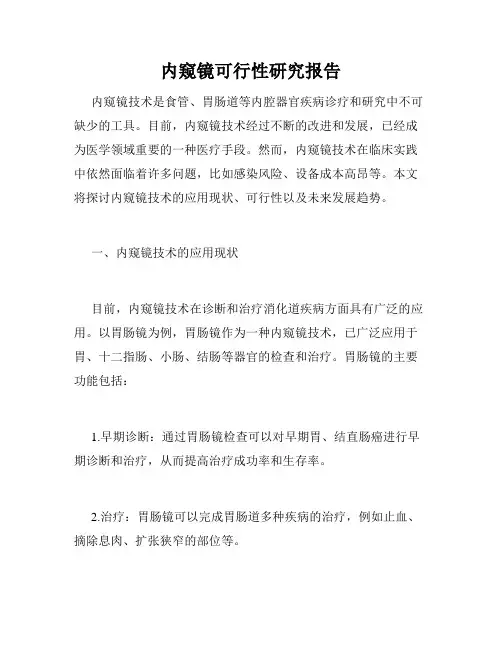 内窥镜可行性研究报告