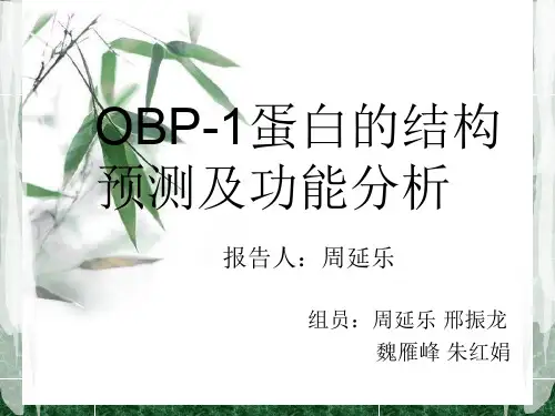 OBP-1蛋白的结构预测及功能分析