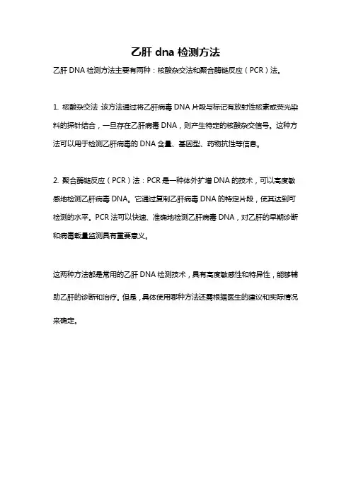 乙肝dna检测方法