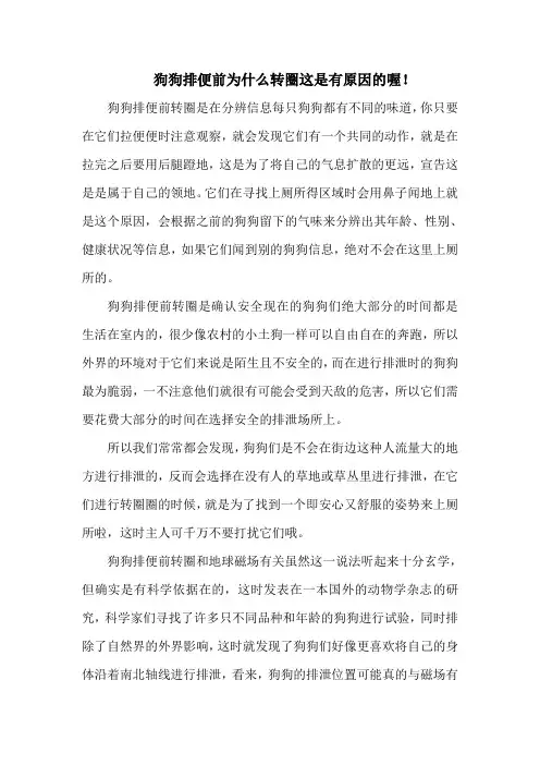 狗狗排便前为什么转圈这是有原因的喔!