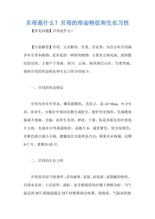 贝母是什么？贝母的形态特征和生长习性