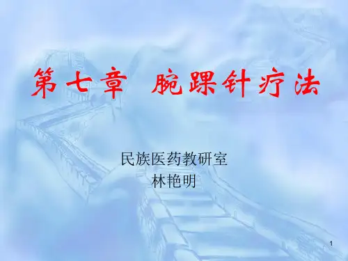 腕踝针疗法PPT课件