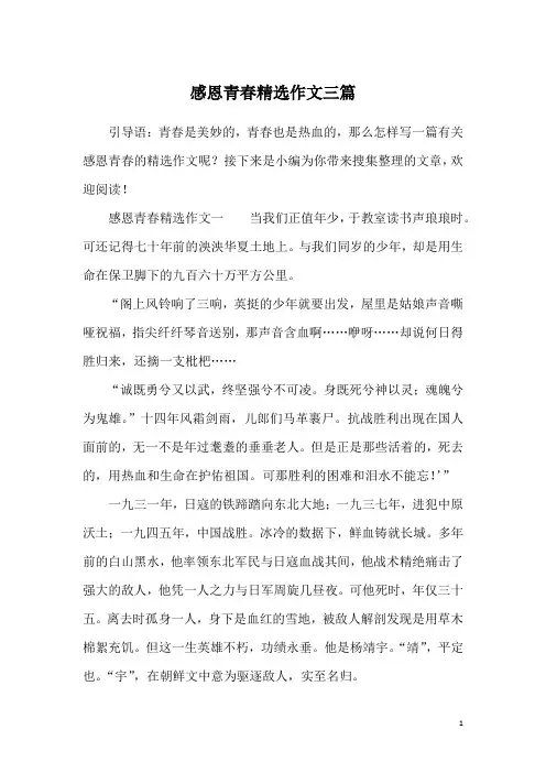 感恩青春精选作文三篇