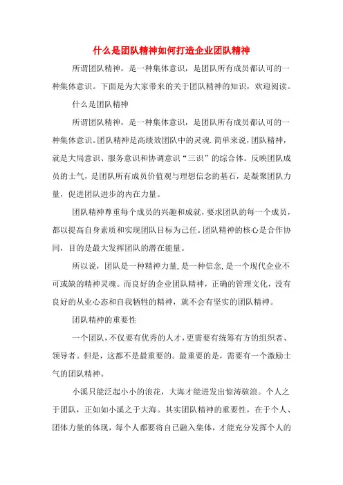 什么是团队精神如何打造企业团队精神