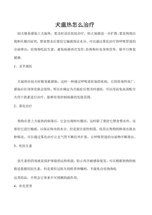 犬瘟热怎么治疗