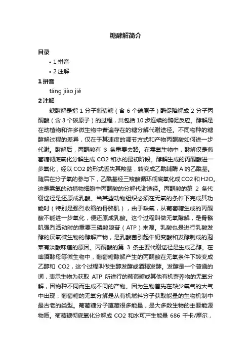 糖酵解简介