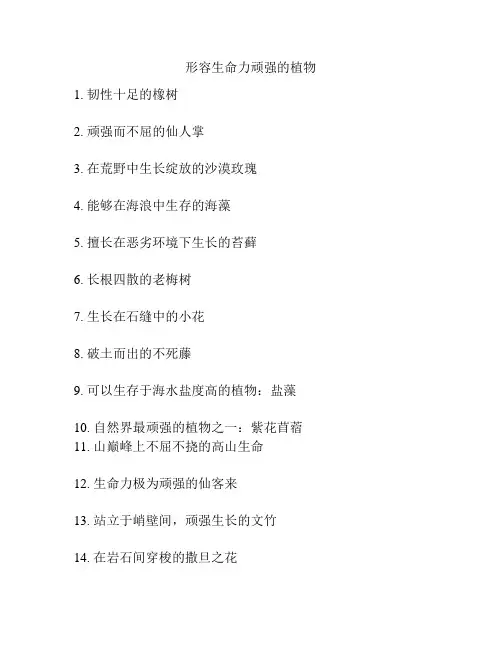 形容生命力顽强的植物