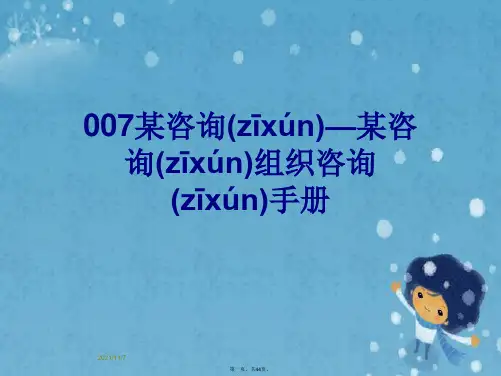 007某咨询—某咨询组织咨询手册
