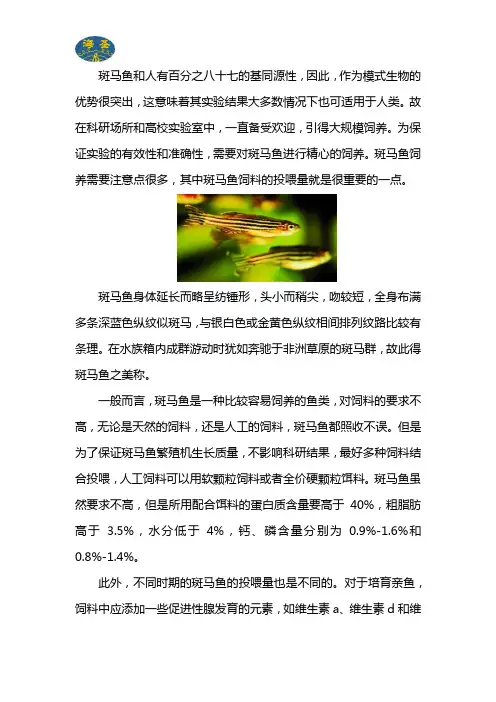 斑马鱼的饲料投喂量