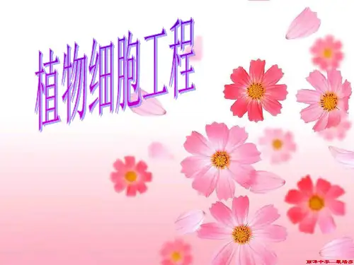 植物细胞工程课件(公开课)