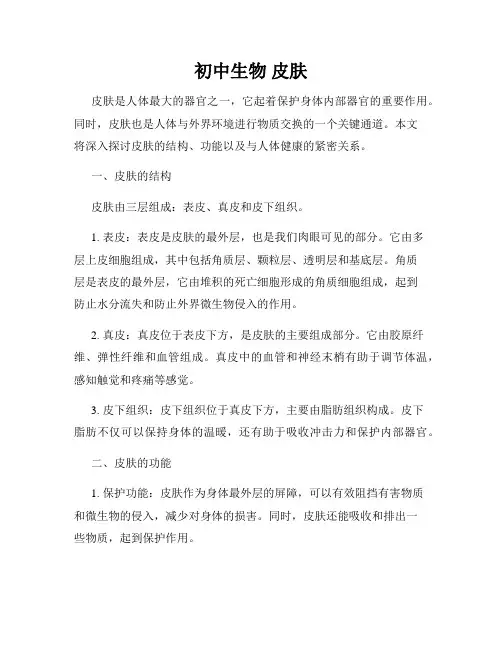 初中生物 皮肤