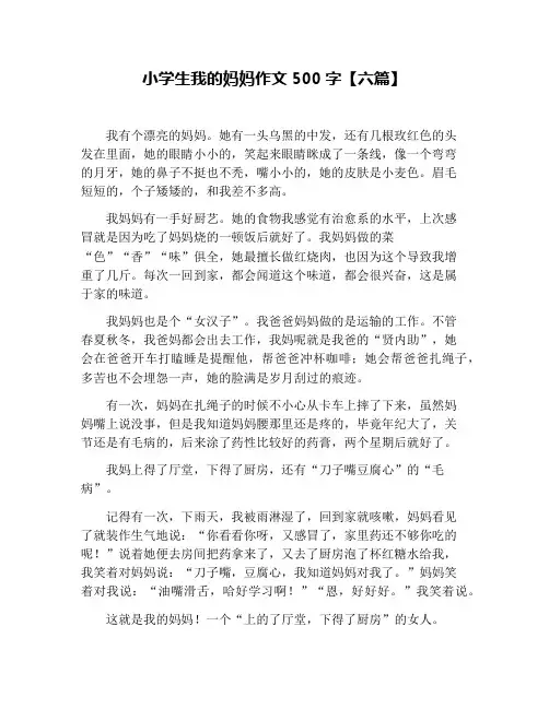 小学生我的妈妈作文500字【六篇】