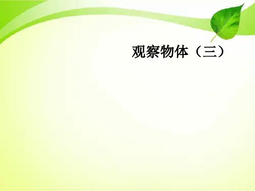 人教版五年级数学下册《观察物体》PPT课件.ppt