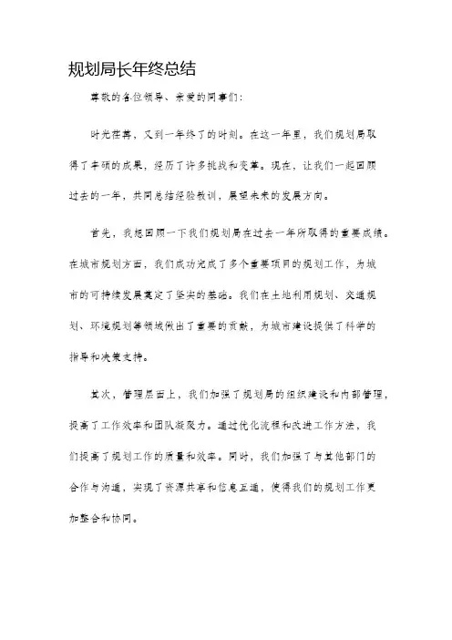规划局长年终总结