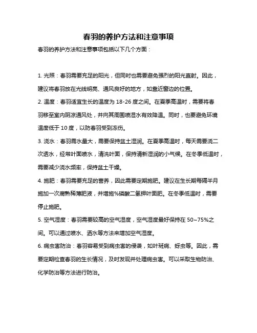 春羽的养护方法和注意事项