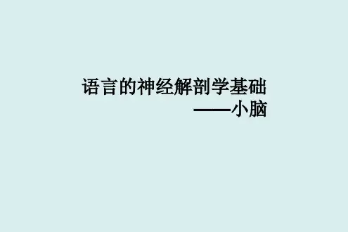 小脑课件