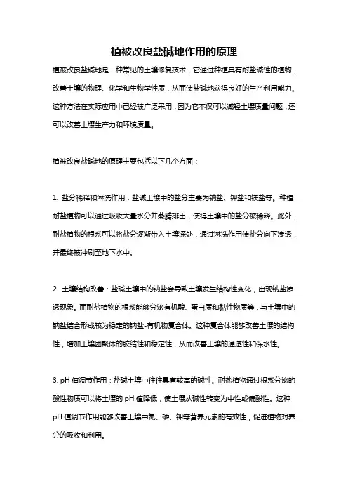 植被改良盐碱地作用的原理