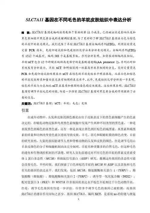 翻译论文