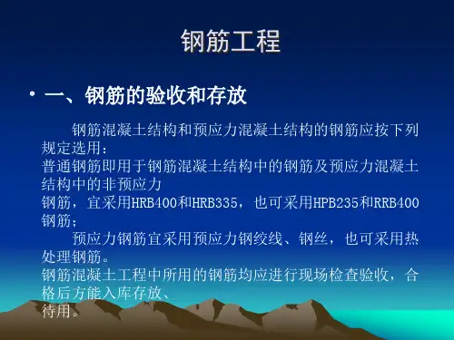 钢筋工程培训课件.pptx