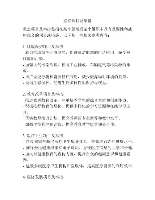 重点项目及举措