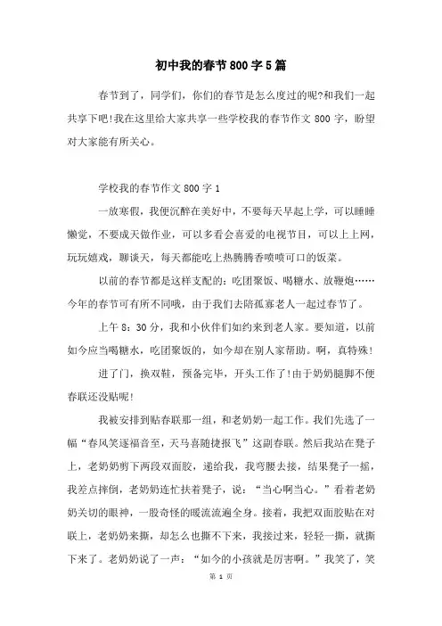 初中我的春节800字5篇