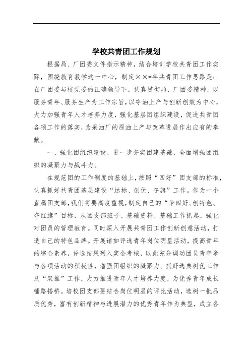 学校共青团工作规划
